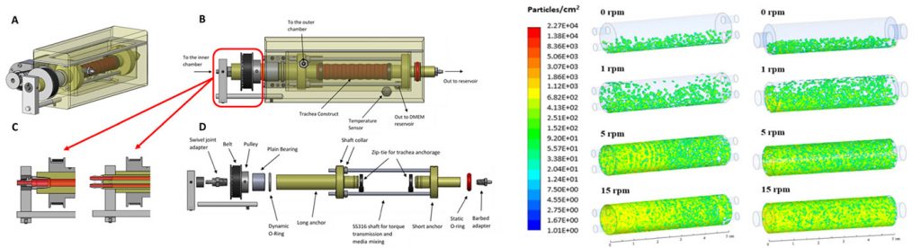 Design of Bioreactors
