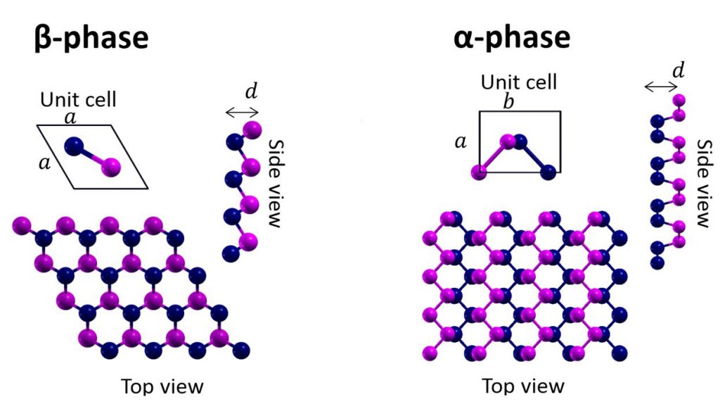 Buckled and Puckered monolayers